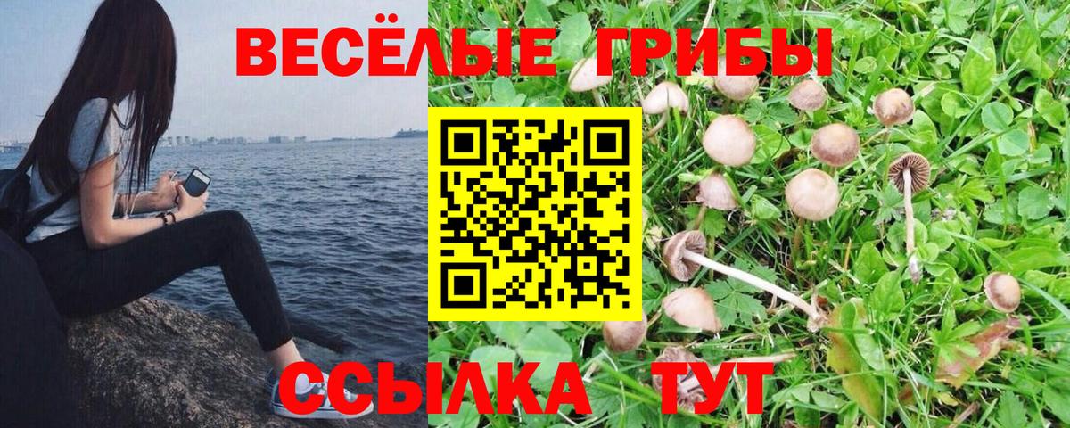 Галлюциногенные грибы мицелий Выборг