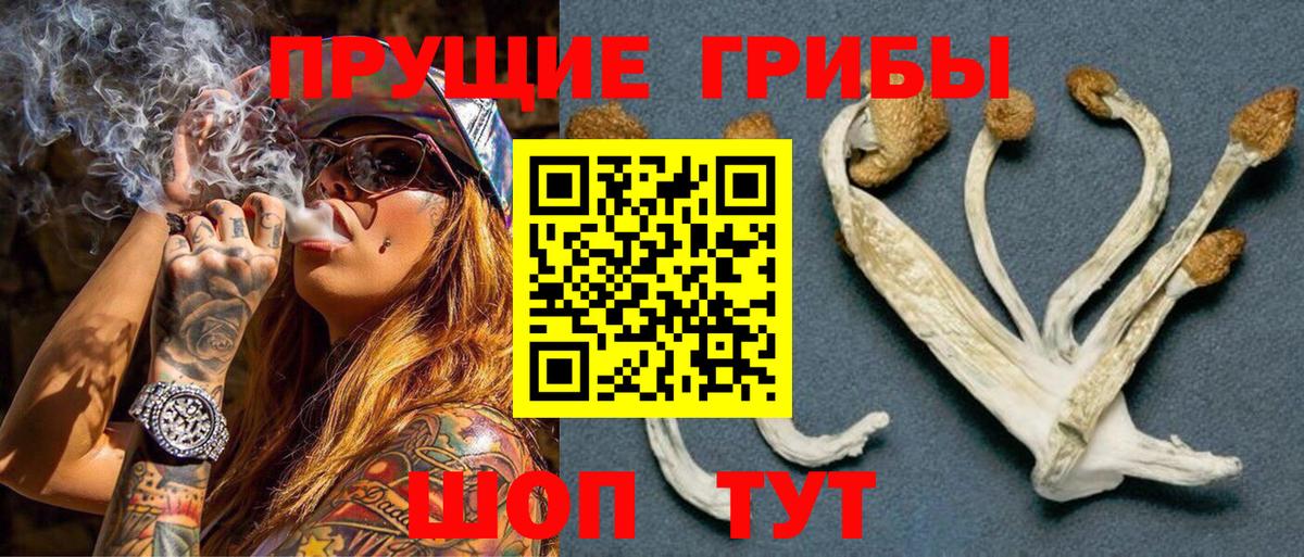 Галлюциногенные грибы MAGIC MUSHROOMS  Вход с VPN  Выборг 
