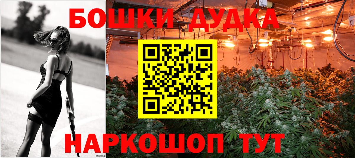Бошки Шишки гибрид Выборг